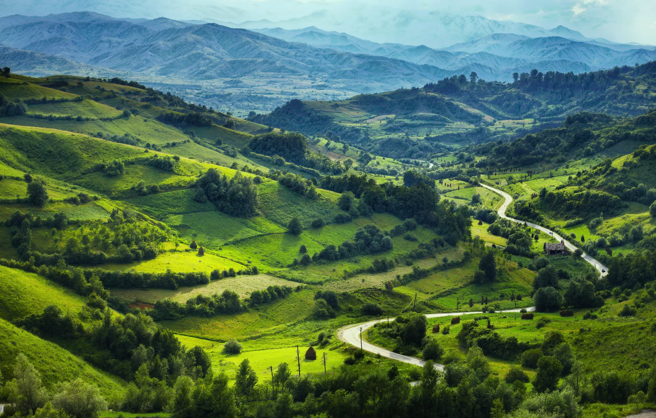 Transilvania Localități